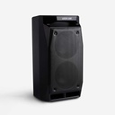 Green Lion Party Life 100 Bluetooth Speaker - Black