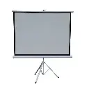 Green Lion Portable Projection Screen with Tripod Stand 72 - Matte White